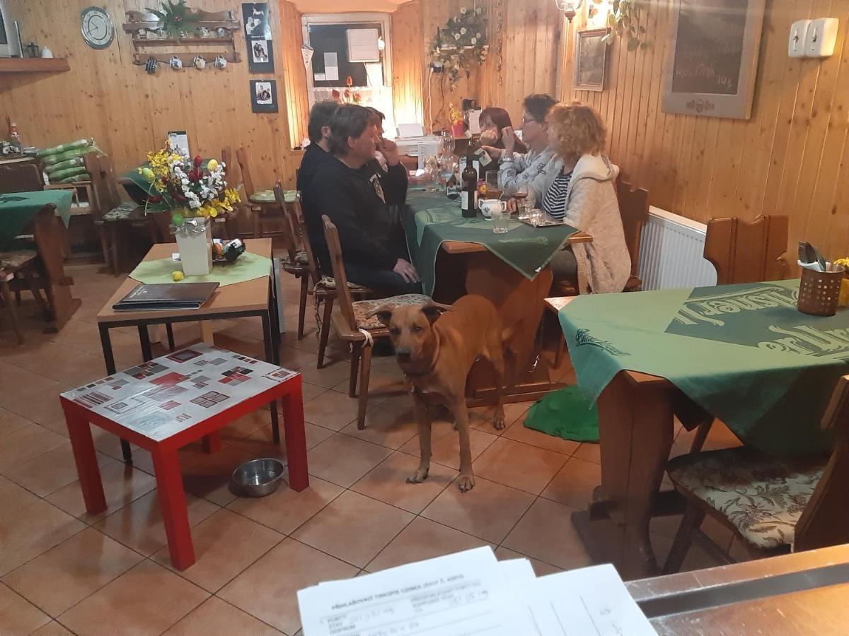 Pension Mikulka Mikulov v Krusnych Horach Εξωτερικό φωτογραφία